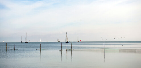 Obraz premium Sailing yachts and fishing boats moored in marina.Netherlands.Panorama