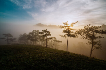 Fototapeta premium sunrise in the fog