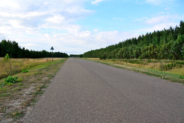 Fototapeta na wymiar concrete single lane road going alone green forest to horizon with blue sky copy space 