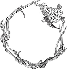 Marine composition, frame, wreath postcard of sea turtle driftwood. Black and white hand-drawn graphics translated into vector Illustration 