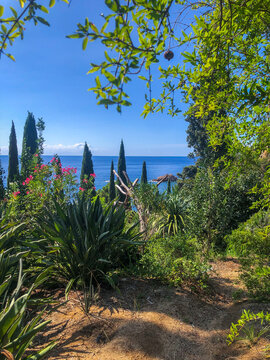 View to the sea from the botanical garden Marimurtra, Blanes, Catalonia. High quality photo