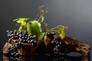 Blue grapes and vine branches on a black reflective background.