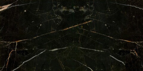 Abstract black marble texture with golden luxury pattern illustration.
