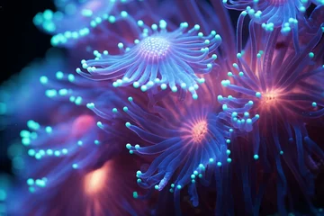 Zelfklevend Fotobehang A vibrant purple and blue coral up close © KWY