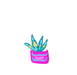 Pink blue lettuce floral