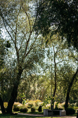 Obraz premium bench in the park, warm season, background 