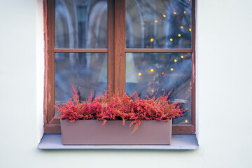 Stylish christmas decoration on old window, building exterior, barberry in a flower pot. Modern christmas decor in city street. Window with christmas decoration. Merry Christmas