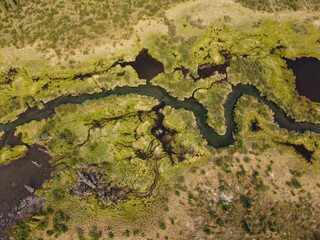 Nature pattern of creek meander wetland swamp