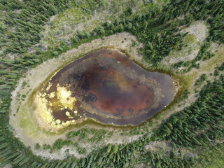 Taiga pond riparian wetland aerial view YT Canada