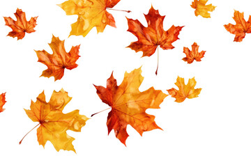 Maple leaves falling on air on transparent background. Generative Ai	
