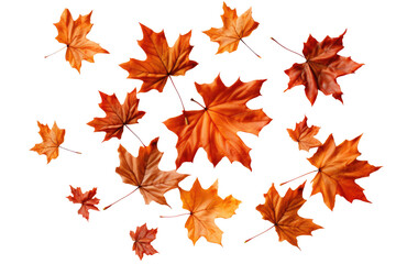 Maple leaves falling on air on transparent background. Generative Ai	
