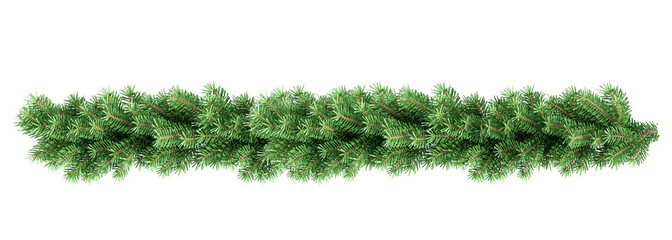 Christmas tree branches isolated on white background