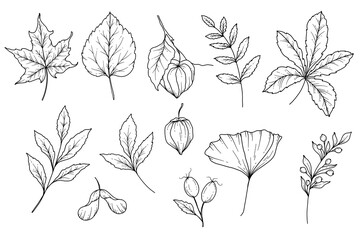 Fall floral arrangement outline. Fall Foliage Line Art Illustration, Outline Leaves arrangement Hand Drawn Illustration. Fall Coloring Page with Leaves. Thanksgiving arrangement. Thanksgiving graphics - obrazy, fototapety, plakaty