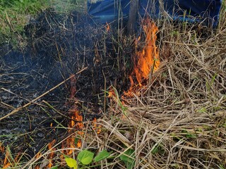 fire was burning in the dry grass on the side of the road.