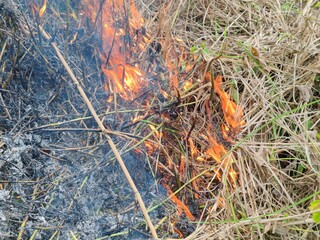 fire was burning in the dry grass on the side of the road.