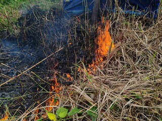 fire was burning in the dry grass on the side of the road.