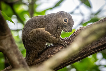 Fototapeta premium Views around Singapore , Asia,