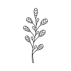 sketch twigs. Hand drawn vector floral elements