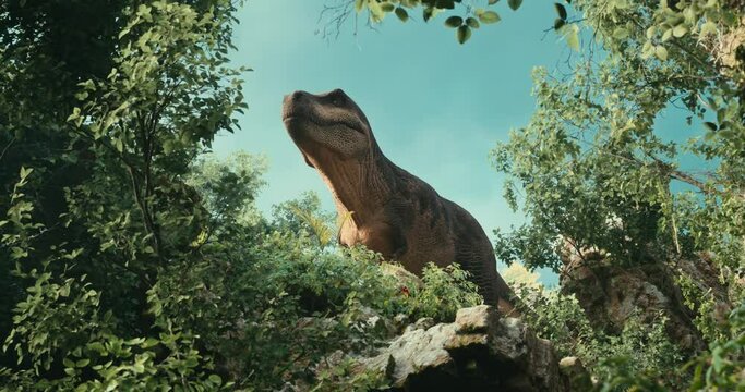 A Tyrannosaurus is about to attack a young Triceratops in the forest.