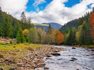 scenery of rural valley with stones and rocks on the shore of a river among forested hills. autumnal landscape in carpathian mountains. synevyr national park, ukraine