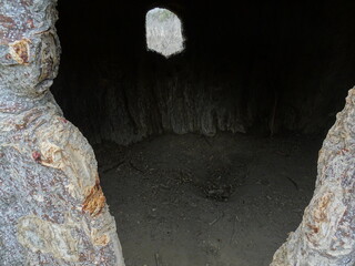 [Madagascar]  Inside the hollow baobab tree trunk in morombe