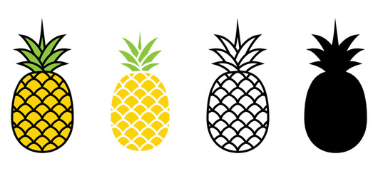 Pineapple fruit set. Tropical sweet ananas collection in different styles. Vector illustration isolated on white.