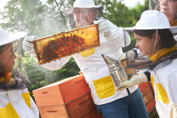 Senior male apiarist teaching about honeycomb frame to girls