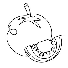 Vector continuous one line tomato illustration