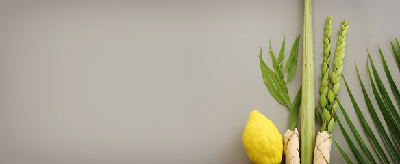 Jewish festival of Sukkot. Traditional symbols (The four species): Etrog (citron), lulav (palm branch), hadas (myrtle), arava (willow) © tomertu