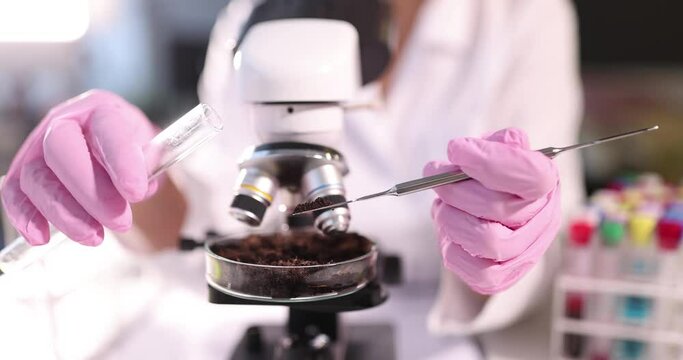 Scientist wearing protective gloves examining ground sample at laboratory. Laboratory research soil concept