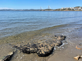 Clear water off the coast of Patroclus Bay in Vladivostok in autumn in clear weather