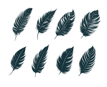 Boho feathers set.  Hand drawn vintage design elements for print, tattoo, spiritual relaxation, witchcraft, polygraphy. Vector illustration.