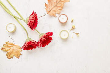 Autumn-Inspire nature background - gerberas, dried flowers, dry leaves, cones. Copy space
