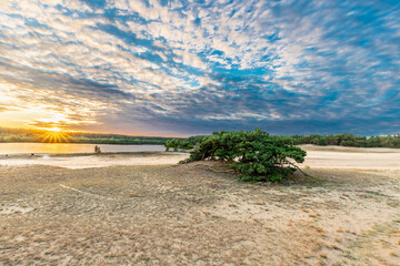 A dramatic and colourful sunset over the Lommelse Sahara, a National Park with sand dunes in...