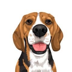 beagle dog portrait