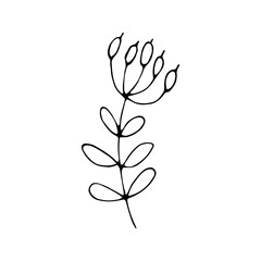 simple flower hand drawn