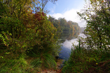Foggy morning in the Commelles lakes. Oise-Pays de France Regional Natural Park