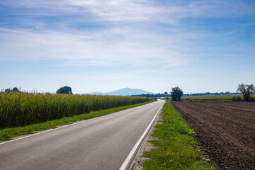 Fototapeta na wymiar Country road through hilly polish landscape and field. Sleza Mountain, Poland, Wroclaw