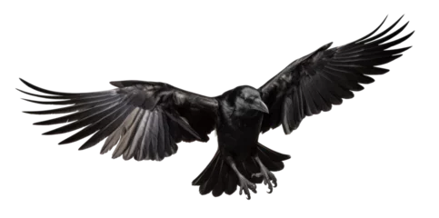 Poster flying raven, png file of isolated cutout object on transparent background. © Аrtranq
