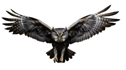 Fototapeta premium flying owl, png file of isolated cutout object with shadow on transparent background.