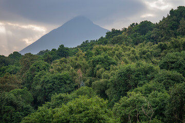 Mgahinga Mountain Gorilla National Park landscape
