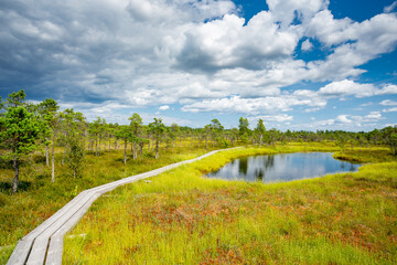 Kemeri bog National Park, Latvia	
