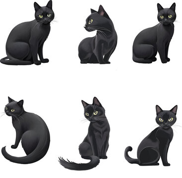 Black Cat Vector 6 Pictures per Set 