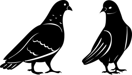 pigeons silhouette on a white background,vector