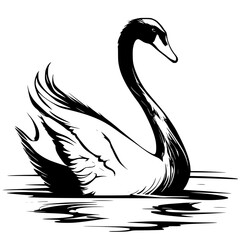 illustration of a bird