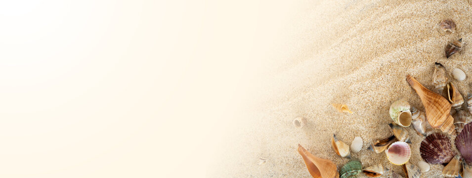 banner with seashell on the beach