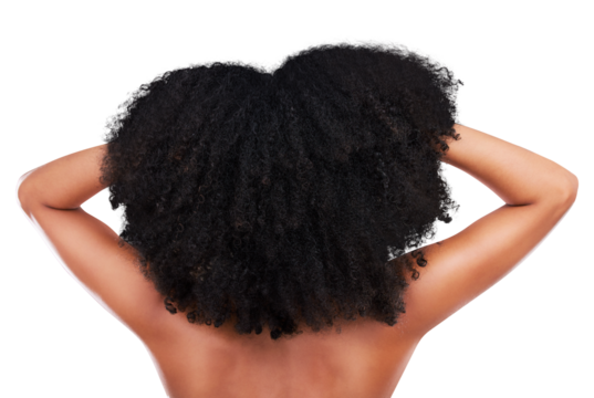 Black woman, hands in hair and back with beauty, haircare and cosmetics with afro isolated on png transparent background. Person, natural and cosmetic treatment with curly hairstyle and texture