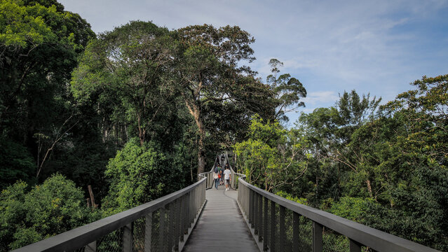 The landscape of Penang Hill in Malaysia