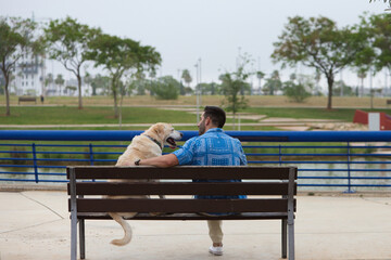 Naklejka na ściany i meble Handsome young man and his Labrador retriever dog sitting on a wooden bench in the park. The man and his pet are looking at the horizon. The picture is taken from behind. Concept pets and animals.