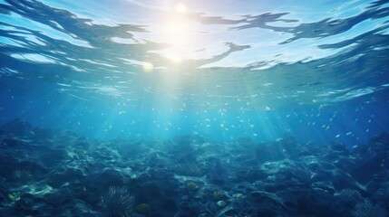 Fototapeta na wymiar underwater view of a reef